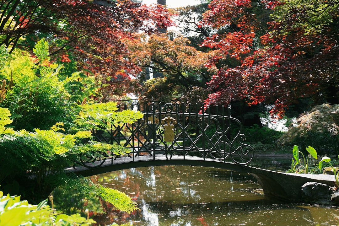 'Secret Garden'