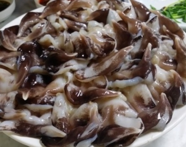 사천-새조개샤브샤브-하모회-제일전복횟집