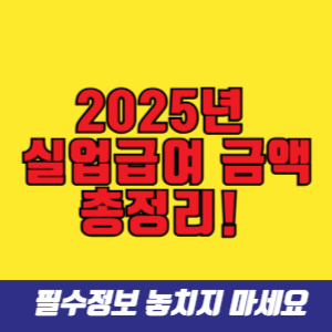 2025년 실업급여 금액 총정리! 얼마나 받을 수 있을까