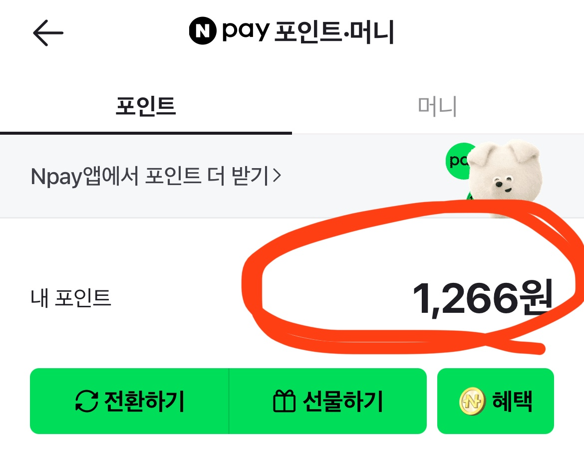 네이버페이 포인트