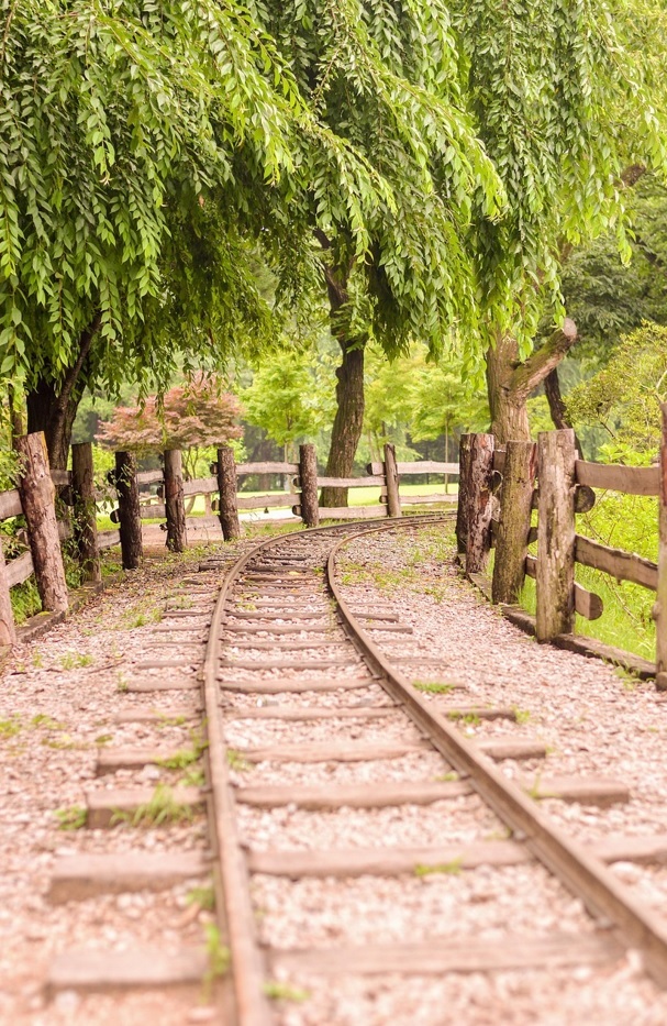 자연힐링 관련사진