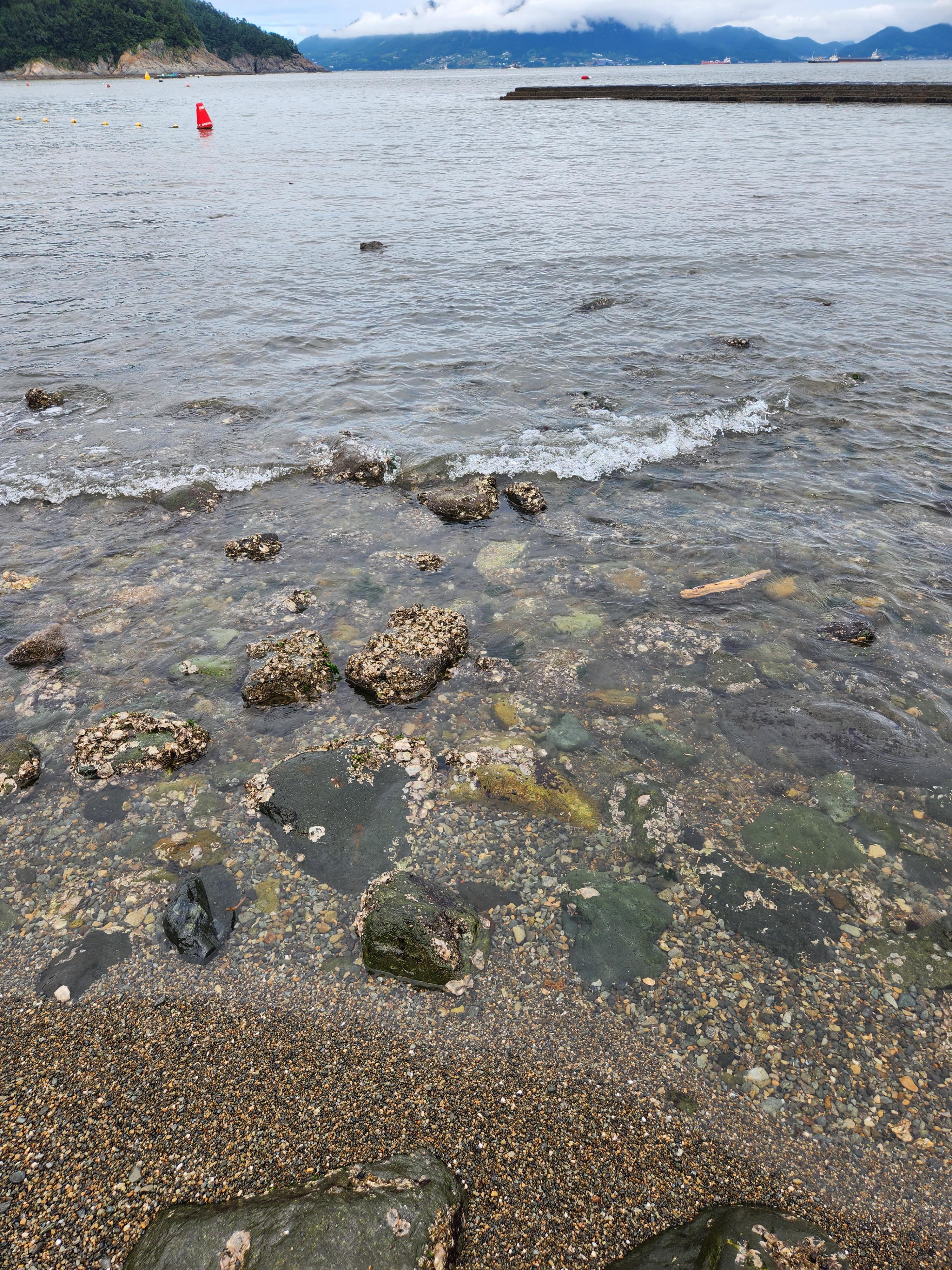여수 만성리 검은 모래 해변