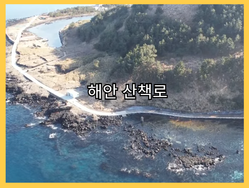 비양도_배시간표_인증샷명소