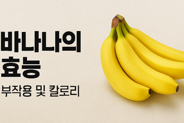 바나나 효능과 부작용 바나나 칼로리 및 보관법