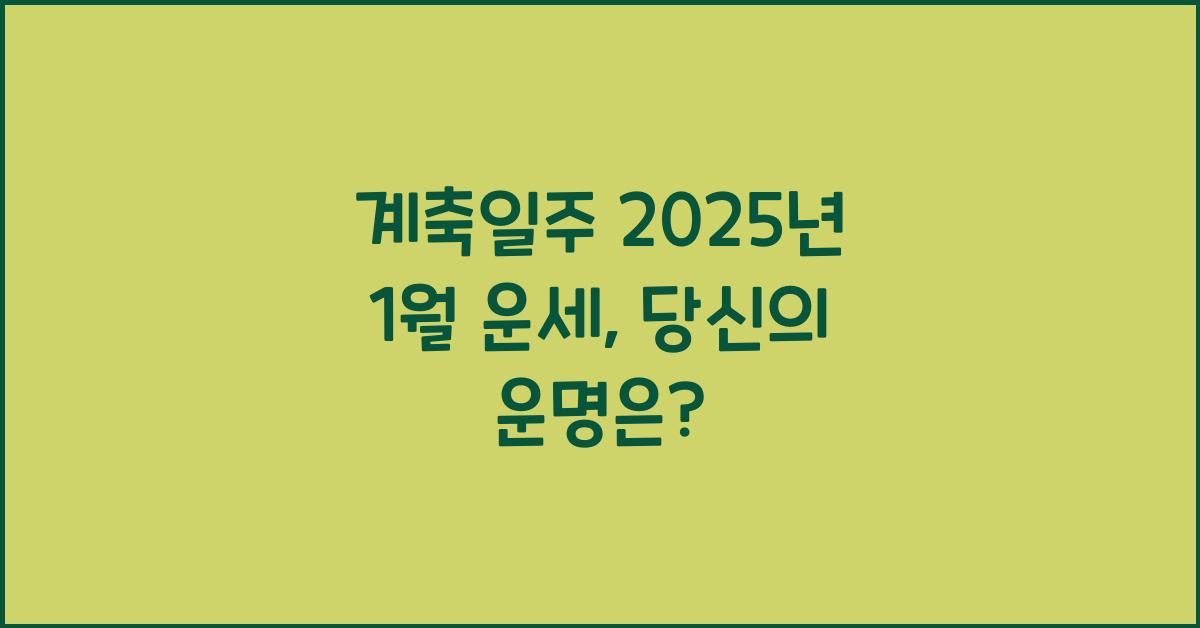 계축일주 2025년 1월 운세