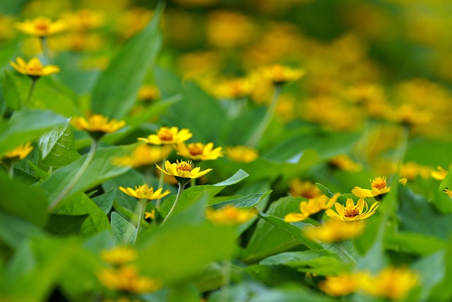 4월 13일 4월 19일 전국 날씨