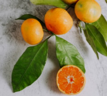 건강한 겨울 제철 과일: 귤