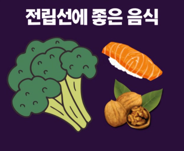 전립선에 좋은 음식