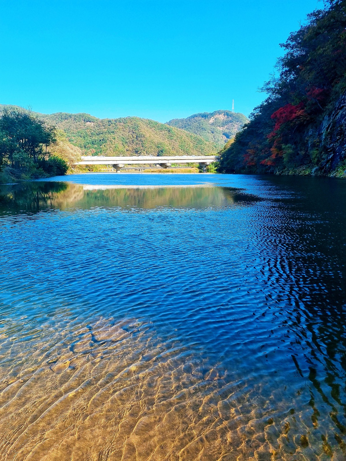 강원도 원주 가볼만한 곳, 블루리본 스톤크릭 카페: 수묵화 속 절벽, 로스팅 커피, 할인 정보