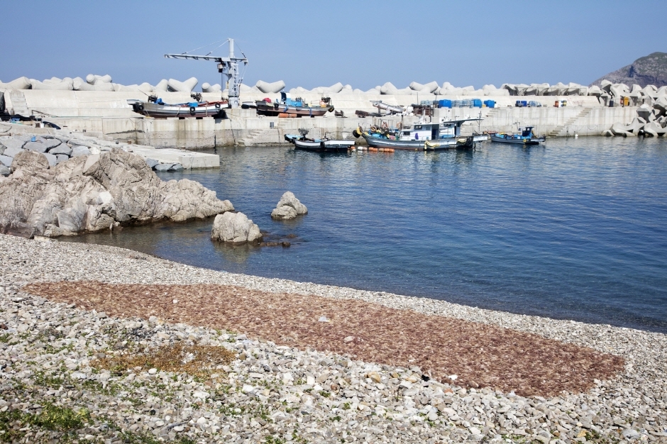 신안 가볼만한곳 베스트10