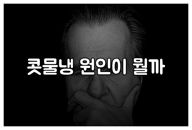 콧물냉 원인이 뭘까