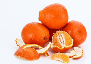 생방송오늘저녁 논산 황금향 택배 주문