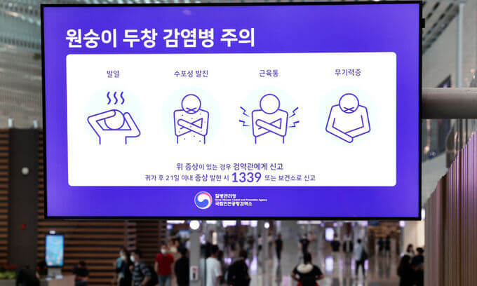 엠폭스 증상