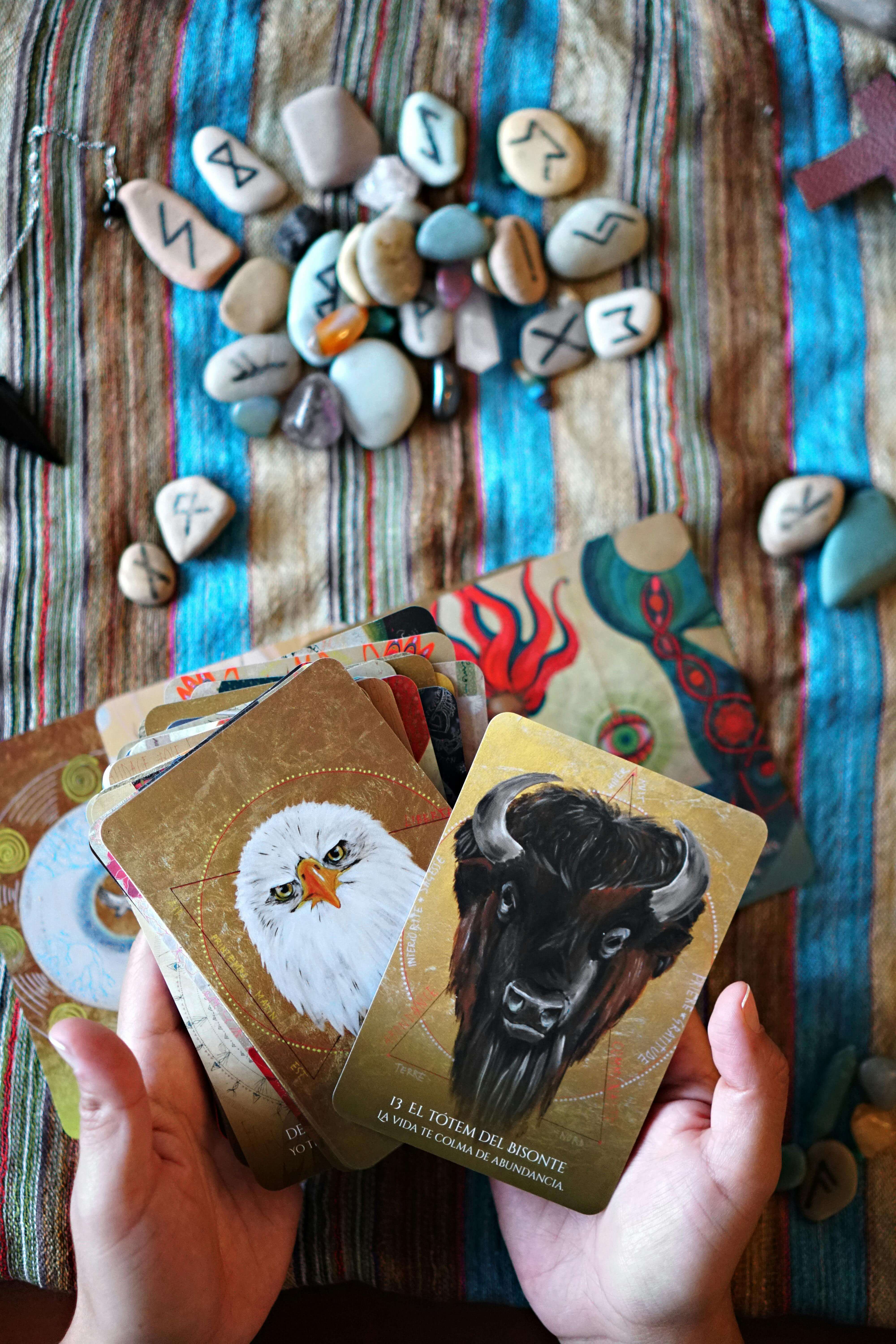 화투 점 보는 방법 화투로 운세 보는 법