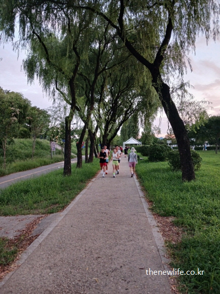 강변 산책로에서 여러 사람이 함께 뛰며 대화 가능한 호흡으로 슬로우 조깅을 하는 모습