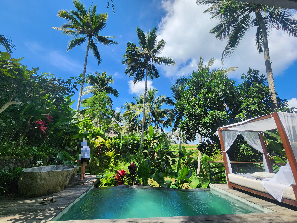 발라 객실의 프라이빗 풀. 나무로 둘러쌓여 있다. 나무 너머에는 논이다.