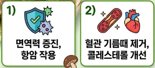 표고버섯 효능