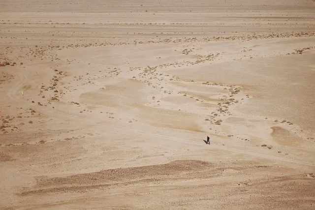 시편 5장 3절 읽기 - 여호와여 아침에 주께서 나의 소리를 들으시리니 아침에 내가 주께 기도하고 바라리이다_2