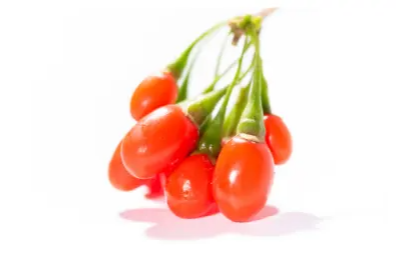 구기자 가격 및 효능&amp;#44; 영양 성분