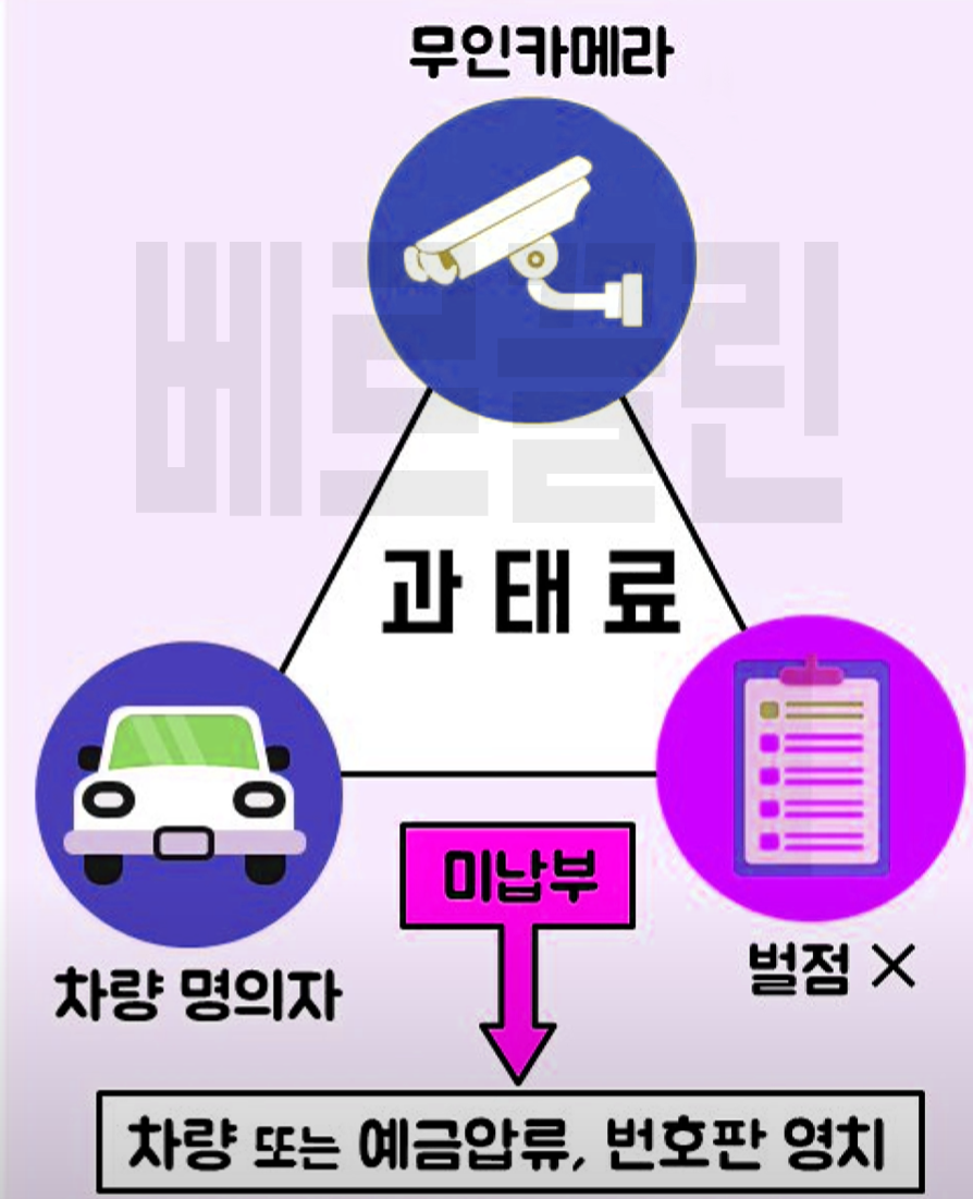 신호위반 과태료