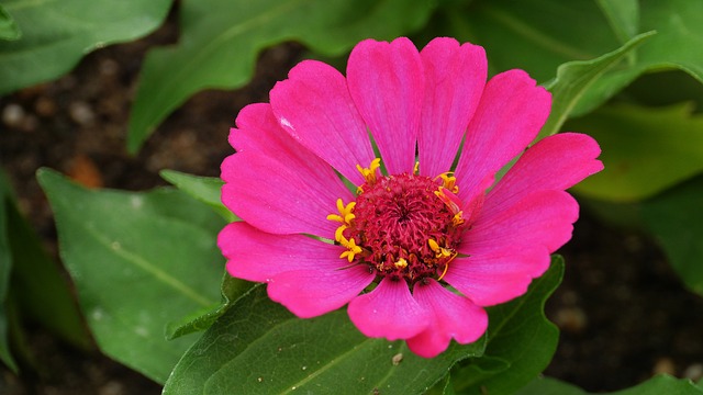 주말에 가볼 만한 인천 중구 명소 best 5곳 추천