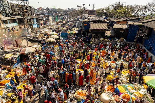 홍역 확산국 TOP 5의 공통 원인