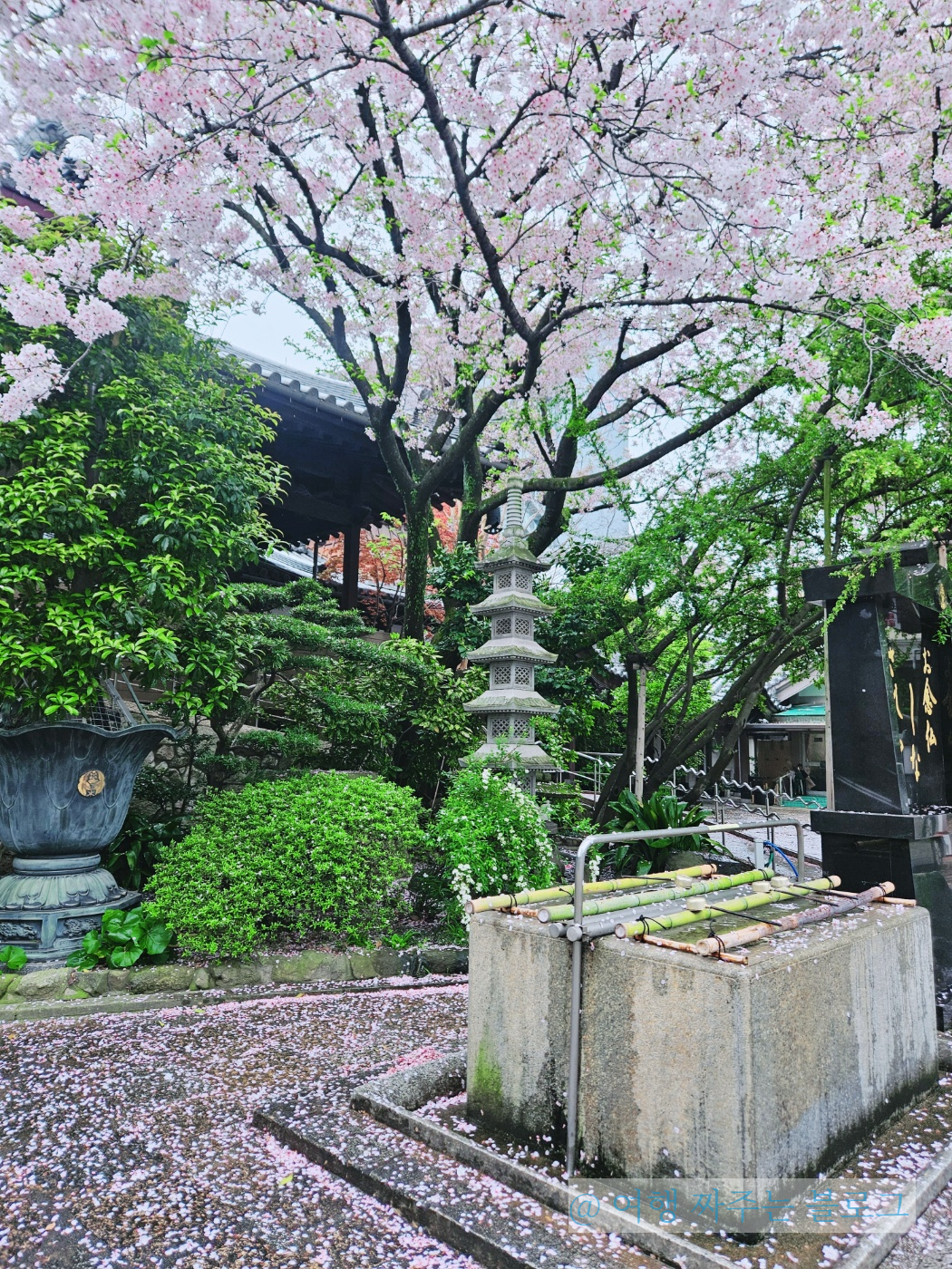 후쿠오카 만교지