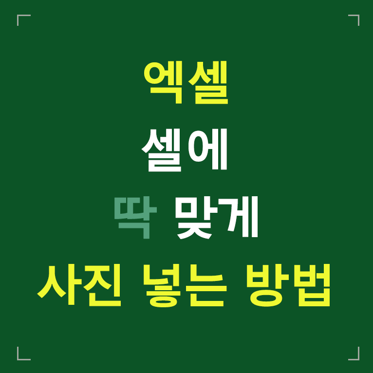 엑셀 셀에 딱 맞게 사진 넣는 방법 글씨 섬네일 이미지