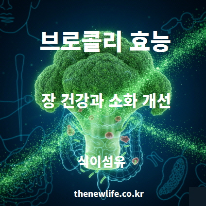 브로콜리 효능 중 장 건강과 소화 개선 효과를 설명하는 인공 그래픽 이미지. 식이섬유를 통한 장 운동 촉진 및 유익균 활성화 정보 포