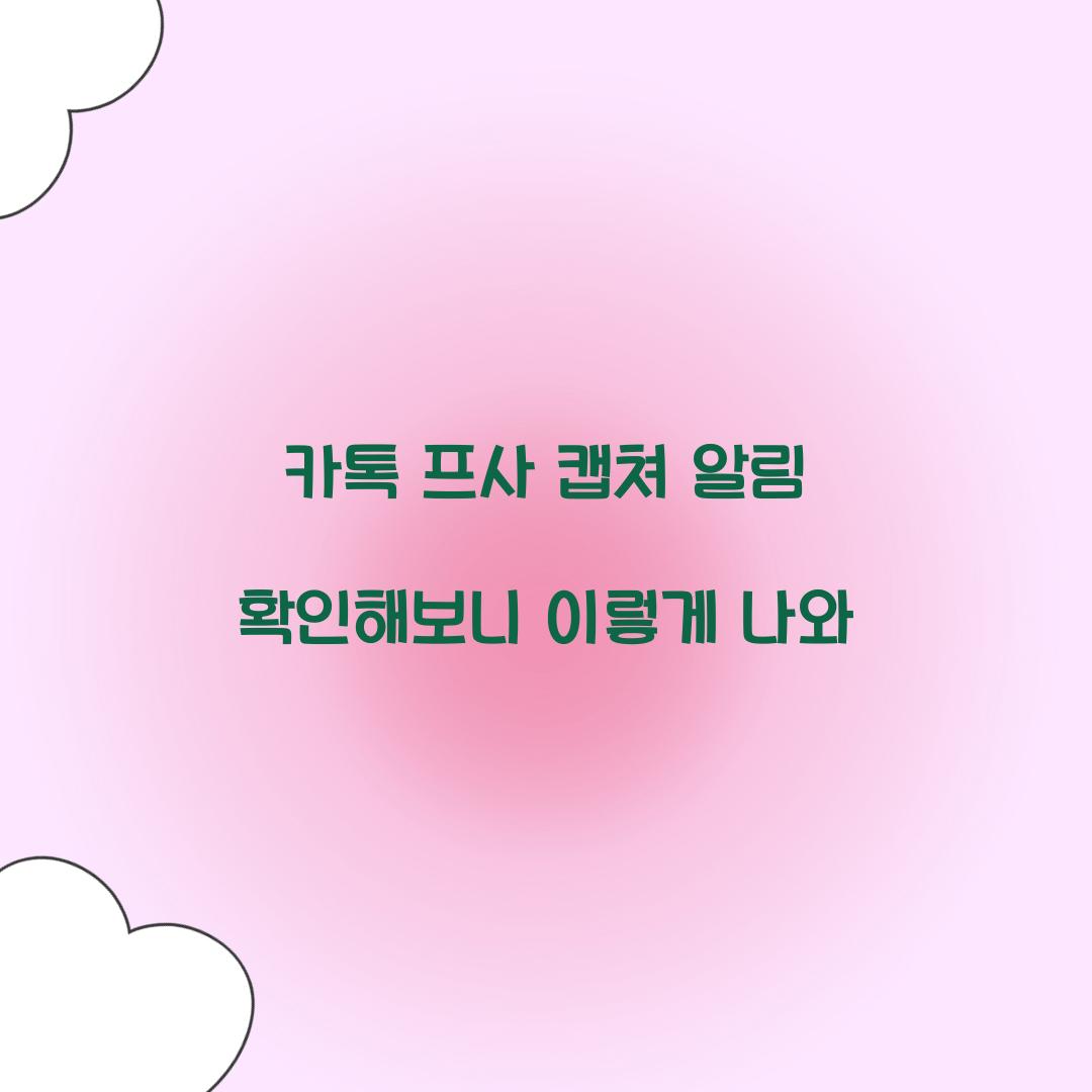 카톡 프사 캡쳐 알림