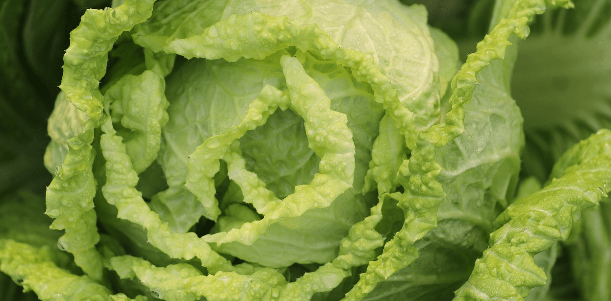 대장에 좋은 음식과 관련된 사진 - 6