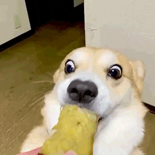 포토샵 GIF 용량 변경 전