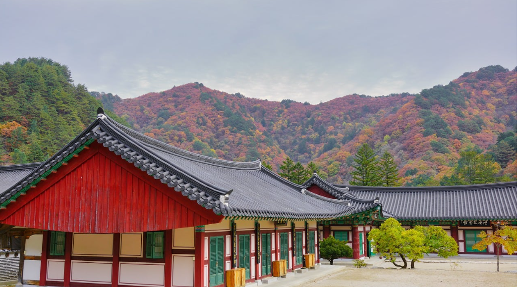 아이와 함께한 공주 역사 탐방기 &ndash; 백제의 흔적을 찾아 떠난 하루