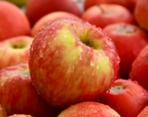 애사비 효능 부작용