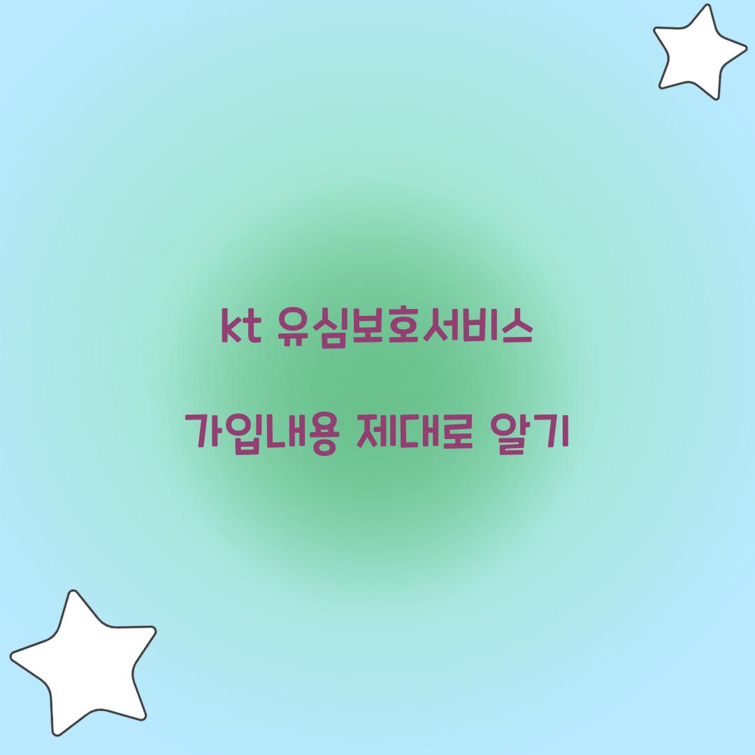 kt 유심보호서비스 가입내용