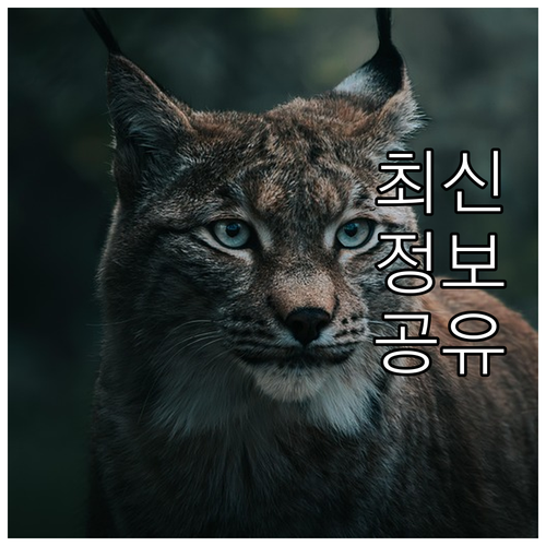 2025 영광군 신혼부부, 다자녀가정..