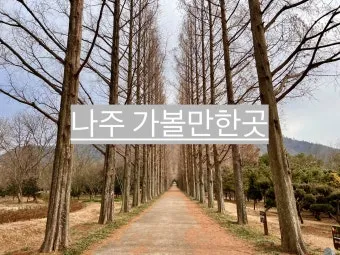 나주 가볼만한곳 카페 맛집 추천 가을 베스트 10_15