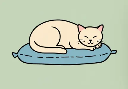 비대면 주민등록 사실조사