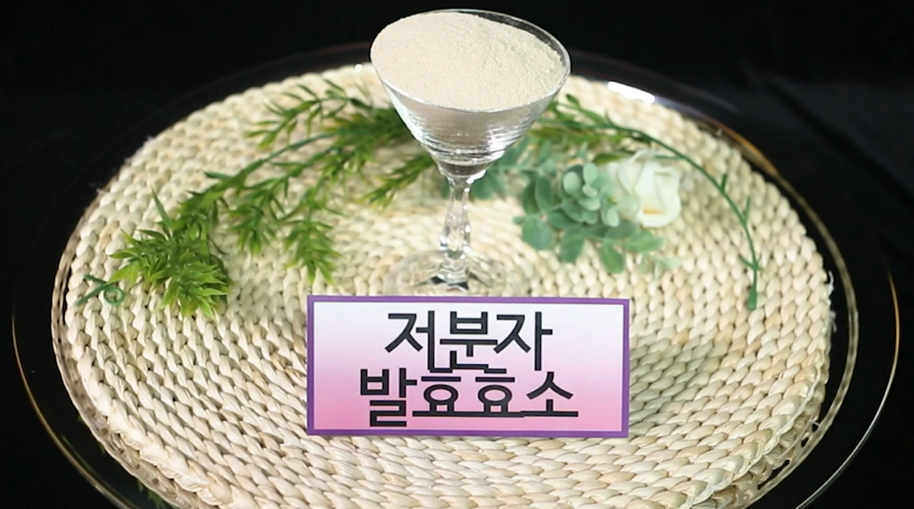 저분자 발효효소