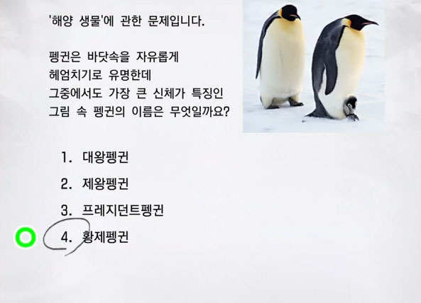 해양 생물 3 이미지