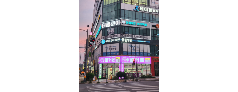 구미시 동물병원