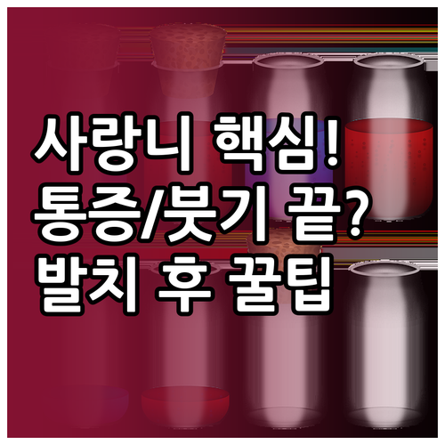 사랑니 발치 후 통증과 붓기 관리 핵..