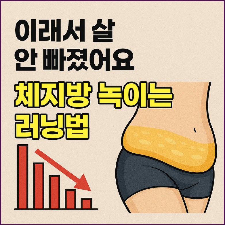 체지방 태우는 가장 확실한 다이어트 비법