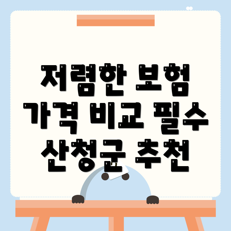 자동차 보험