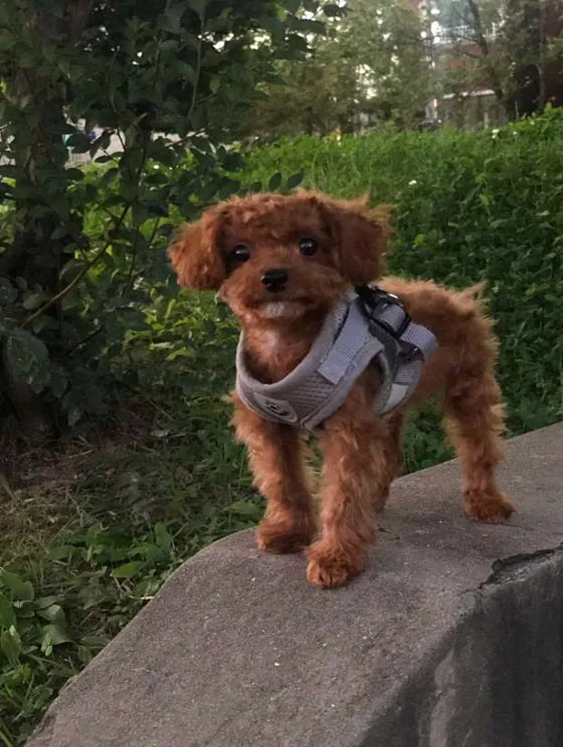 구월체육근린공원