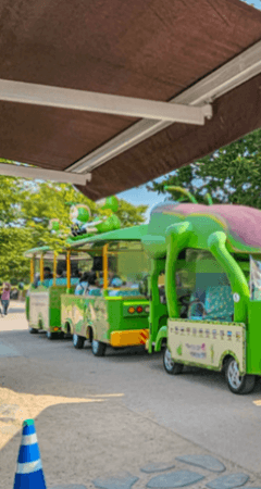 경주 비단벌레차 예약