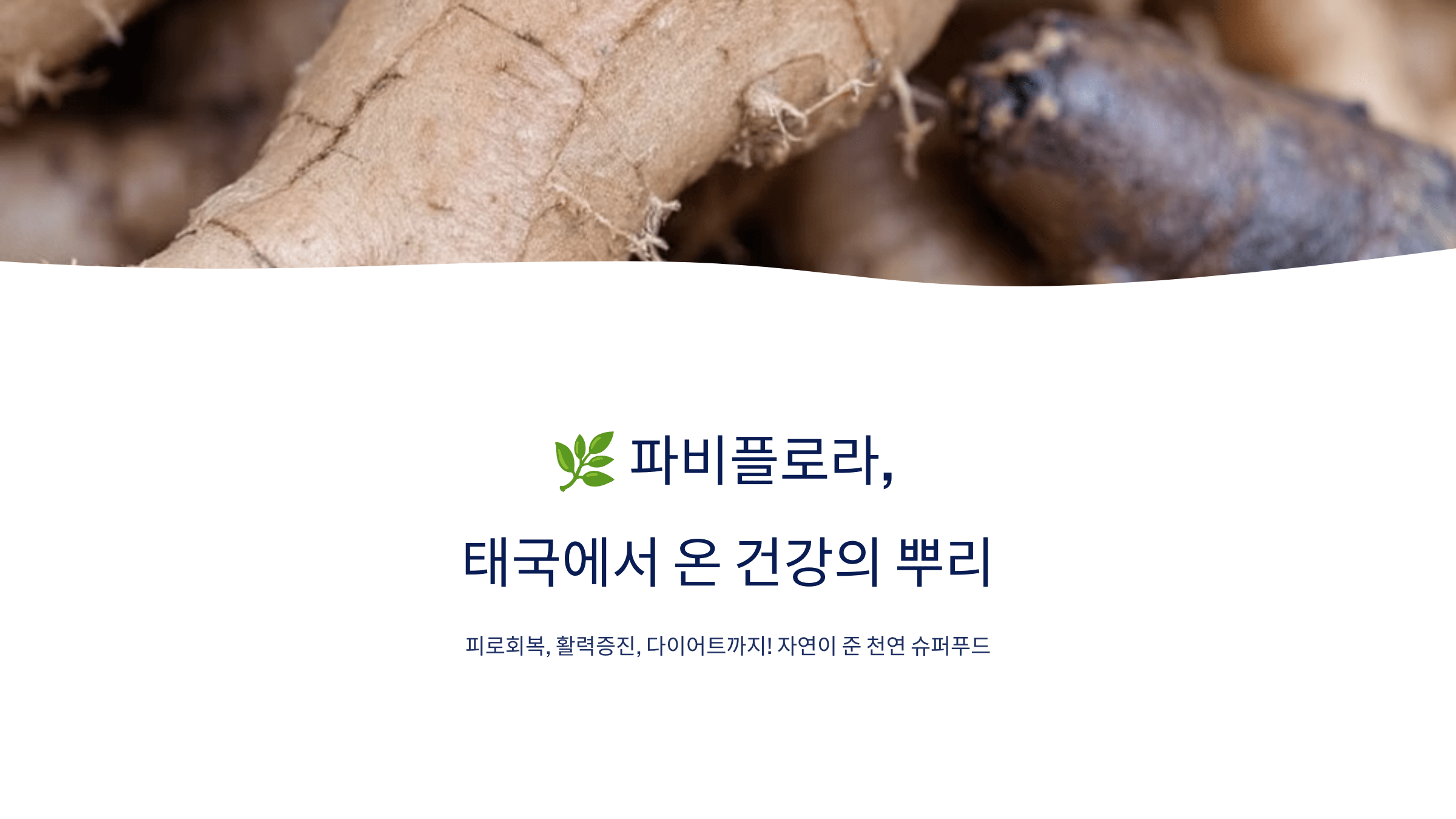 파비플로라 사진입니다.