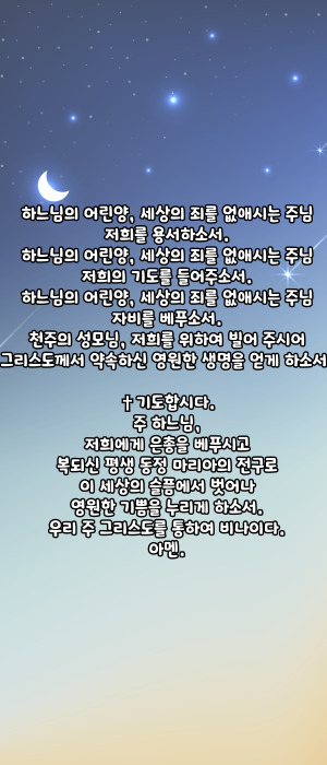 가톨릭 성모 호칭기도