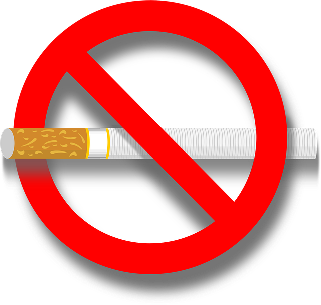 담뱃값 1만원으로 인상설의 진실은