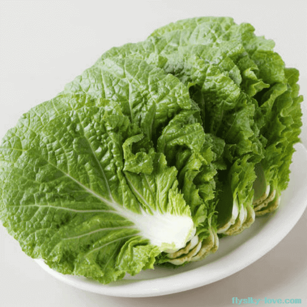 비타민이 풍부한 쌈추